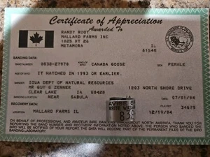 1994 RANDY ROOT MALLARD FARMS IL AVISE BIRD BAND 838 CANADA GOOSE Duck Leg COA - Picture 1 of 6
