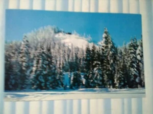 VINTAGE POST CARD SNOQUALMIE SUMMIT SKI AREA SNOQUALMIE WASHINGTON - Picture 1 of 12