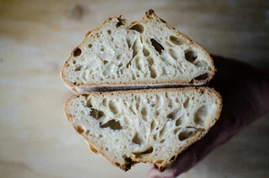 tangy very old very sour Wharf sourdough starter verified san francisco bonanza - Picture 1 of 7