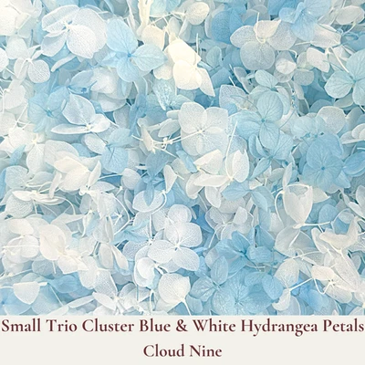 1 Litre Biodegradable Wedding Confetti - Flower Confetti - Dried Flower Petals - image 1 of 4