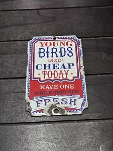 Dodo Designs Vintage "Young Birds Are Cheap Today" Porcelain Enamel Sign BlueRed - Picture 1 of 4