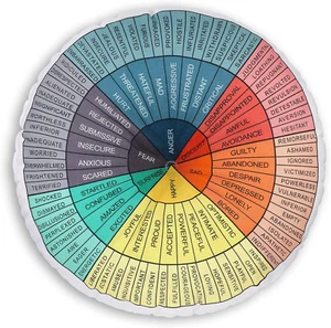 Wheel of Emotions Feelings Pillow round Throw Circle Seating Floor Cushion Comf - Picture 1 of 6