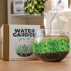 Desktop Natural Water Garden Self Grow Kit- Beautiful Organic Air Purifier - Picture 1 of 4