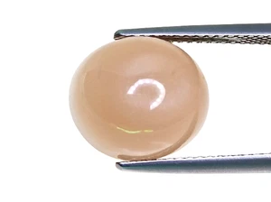 7.04CTS Orange brown natural moonstone oval cabochon cut loose gemstones - Bild 1 von 2