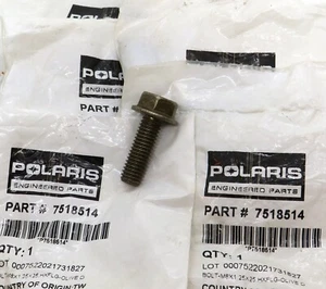 7518514 Polaris M8x1.25x25 Hex Flanged Clutch Cover Bolts (set of 5) for many - Bild 1 von 1