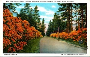 The Golden Trail Lower Columbia River Highway Oregon Leinen Postkarte - Bild 1 von 2