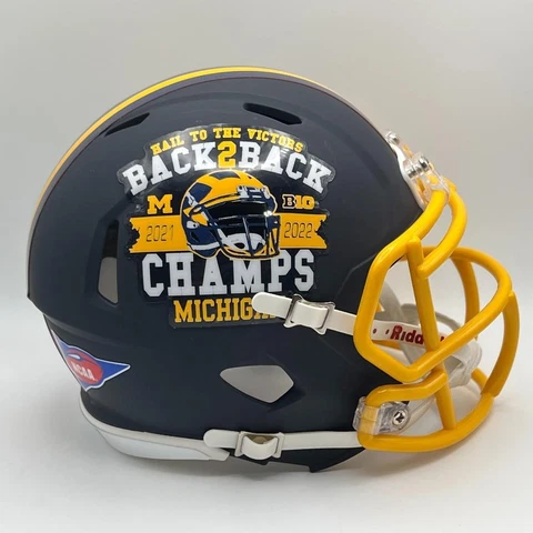 Michigan Wolverines CUSTOM Back to Back BIG 10 Champions Mini Football Helmet Cover