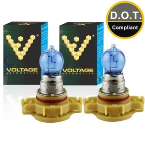 PSX24W 2504 Car Halogen Bulbs for Fog Driving Light 2pcs, Polarize White Series - Picture 1 of 7