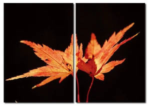 Bild Herbst Blätter Ahornblatt orange 2er-Set Holzfaserplatte Wandbild 100x70 cm - Bild 1 von 4