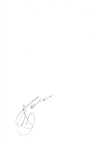 Tarjeta autógrafo firmado de Andrea Gaudenzi 10x15 cm - Imagen 1 de 1