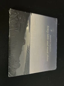 Neshama Carlebach Every Little Soul Must Shine (CD) SEALED!! - Picture 1 of 4