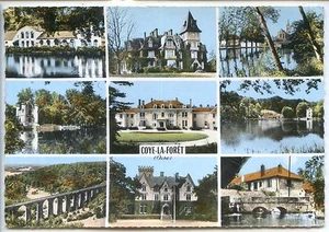 CP 60 OISE - Coye-la-Forêt - Multivues colorisées - Picture 1 of 2