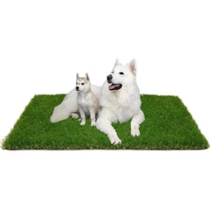 Pet Potty Trainer Grass Mat Dog Puppy Training Pee Poop Pad for Indoor Toilet - Picture 1 of 18