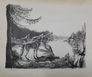 Impresión a lápiz firmada por Karen A Smith Echoing Twilight (Wolf Howling) - Imagen 1 de 6