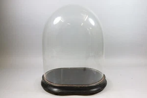 45 cm Glocke Haube Glassturz Glasdom mit Holzsockel 19.Jhd (MVL2952) - Bild 1 von 11