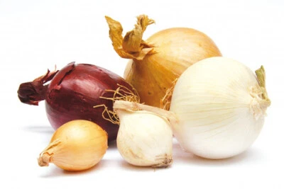 200 Graines d'Oignons Mélange coloré - potager aromatique - semences paysannes - Photo 1/3