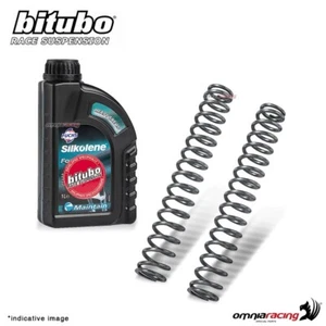 1999-2002 Suzuki SV650 Oil Bitubo K=0.80 Linear Spring Kit - Picture 1 of 4