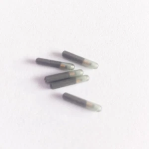 5pcs 134.2KHz EM4305 RFID Rewrite Writable Glass Tag Proximity Induction Token - Picture 1 of 8