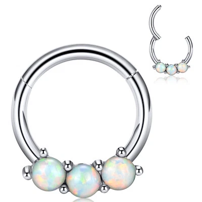 Pendientes de acero quirúrgico 1 pieza hélice tabique clicker nariz anillo aro piercing joyería Foto 1 de 4