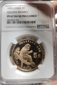 CCCCCC - Picture 1 of 3