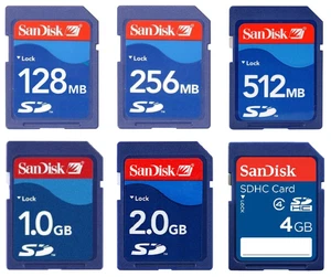 SanDisk 64MB 128MB 256MB 512MB 1GB 2GB 4GB 8GB 16GB 32GB 64GB SD SDHC Card Bulk - Picture 1 of 13