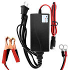 2 Amp 12V Lithium Smart Charger for Lithium Car/Truck/Riding Mower/Boat Battery