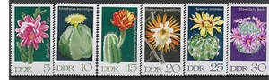 Allemagne- DDR - Fleurs - cactus 1316/21 021 - Photo 1/1