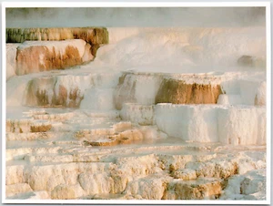 Yellowstone National Park Wyoming Minerva Terrace Mammoth Hot Springs Postcard - Picture 1 of 2