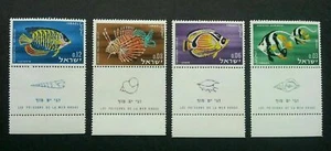  Israel Red Sea Fish & Shells 1962 Marine Life Ocean (stamp) MNH *see scan - Picture 1 of 6