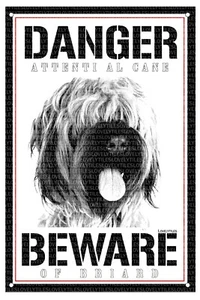 BRIARD BEWARE OF DANGER METAL DOG WATCH SIGN PLATE - Picture 1 of 1