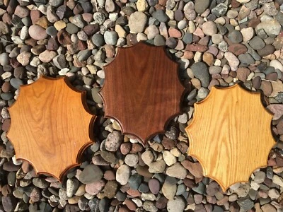 Handmade 12 Point Antler Oak Walnut Cherry Taxidermy Plaque - Image 1 of 4