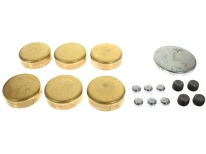 Expansion Plug Kit For 1958-1969 Ford Thunderbird 1967 1962 1959 1960 MN215YB - Picture 1 of 1