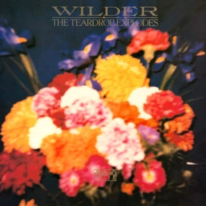 The Teardrop Explodes - Wilder (CD, Album, Remastered) - Imagen 1 de 2