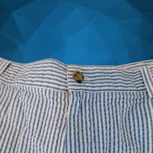 Pro Tour Golf Shorts Mens 40 Seersucker Blue White Stripe Cotton Preppy T57 - Picture 1 of 8