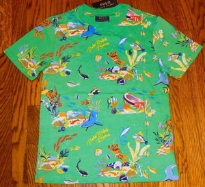 POLO RALPH LAUREN AUTHENTISCHES KLEINKINDER JUNGEN BRANDNEUES ORIGINAL T-SHIRT Gr. 2T, Neu mit Etikett - Bild 1 von 2