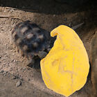 Reptilienhöhle Harz Versteck Aquarium Fischversteck Schildkrötenversteck Gelb