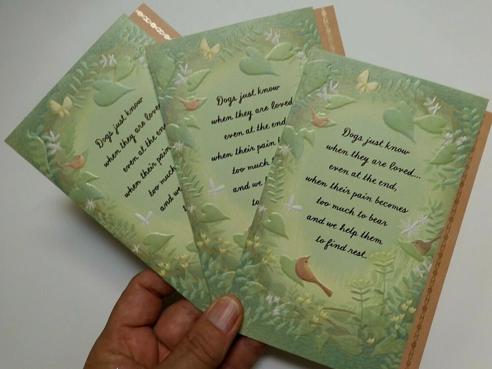 3 Cards Hallmark with Sympathy for PET DOG Sympathy Card WE LOVE OUR DOGS Matte - Image 1 of 4