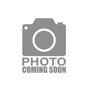 NEW Tarams BASS5K 5000W Mono Channel Amplifier USA DEALER - SAME DAY SHIPPING - Picture 1 of 1