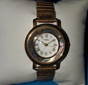 Vtg FOSSIL Ladies Abalone Shell Roman Dial Gold Tone Band 28mm Quartz Watch - Picture 1 of 10