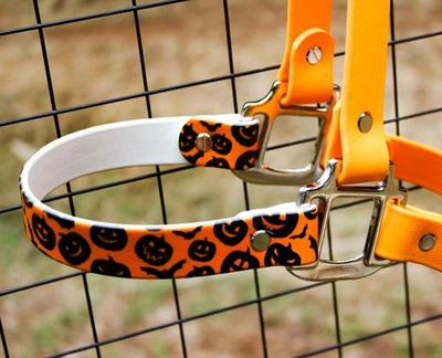 Halloween Biothane Horse Halter - Bild 1 von 4