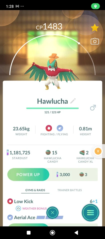 Pokemon Regional Hawlucha Trade - Image 1 of 1