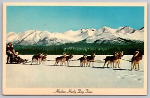 Alaskan Husky Dog Team Northern Alaska Postcard