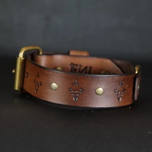 Diseño de calavera y tachuelas. Cuello de cuero para perro. 1,5"" pulgadas. Marrón - Imagen 1 de 7