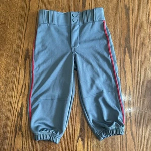 Pantalones de béisbol softbol Champro Youth medianos gris oscuro - Imagen 1 de 7