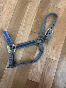 Blue Horse Halter With Blue Piping - Picture 1 of 2