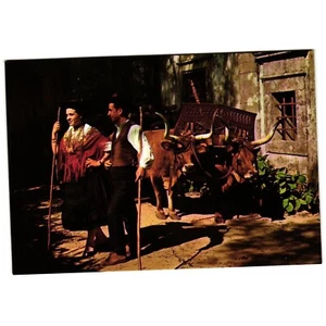 Rare- Rustic regional Costume Postcard w/Oxen Carriage in Minho-Portugal #181 - Picture 1 of 2