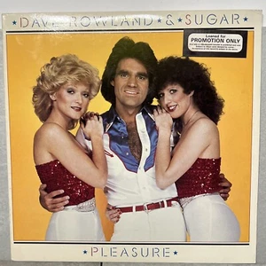 DAVE ROWLAND & SUGAR - Pleasure - 12" Vinyl Record LP - EX. Vintage - Picture 1 of 4