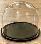 8" x 6.5" Glass Display Dome Cloche w Glossy Black Base #743D NEW w Original Box