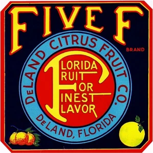 f46 DeLand Florida Five F Orange Citrus Fruit Crate Label Fridge Mag - Picture 1 of 1