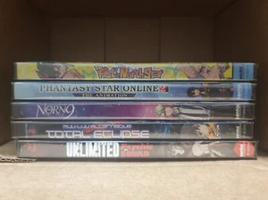 Anime DVD Lot: DD Fist Of North Star, Phantasy Star Online 2, Norn9, Muv-luv... - Picture 1 of 1
